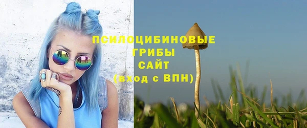 дживик Абаза