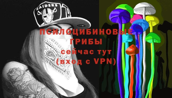 ешки Кукмор