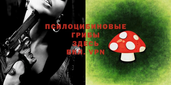 ешки Кукмор