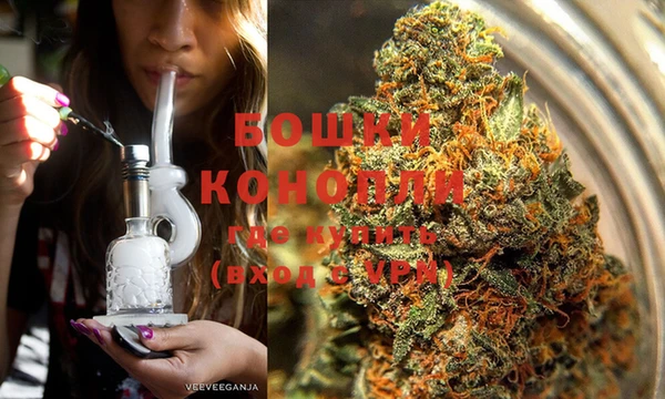 дживик Абаза