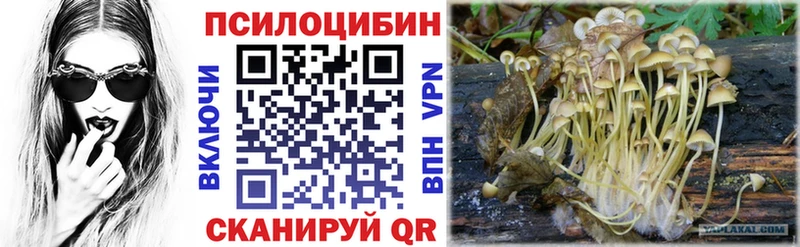 Псилоцибиновые грибы Magic Shrooms  mega ссылка  Фрязино 